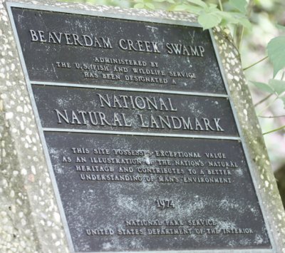 Wheeler National Wildlife Refuge -  Beaver Dam Boardwalk