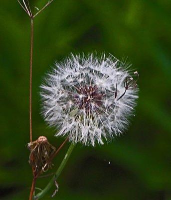 IMG_2256wnr.jpg