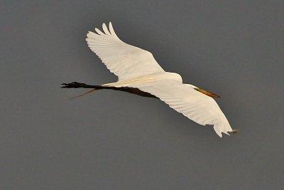 IMG_2370wnr.jpg