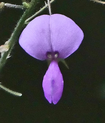 Wheeler National Wildlife Refuge 08/25/2012