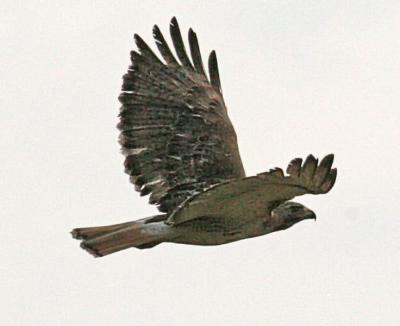 IMG_13881.jpg