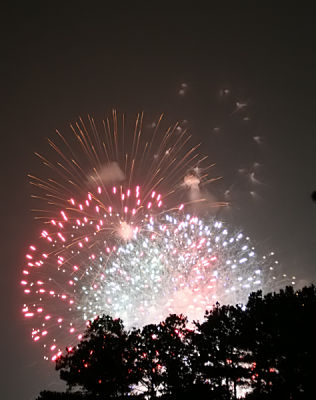 IMG_0731.JPG