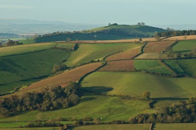 Exe Valley near Silverton