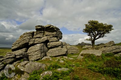 Holwell Tor