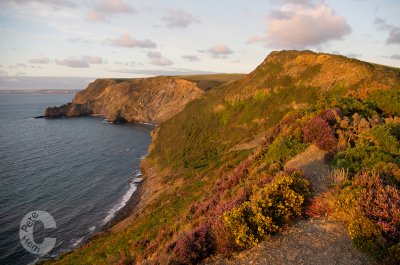 Castle point near Crackington Haven