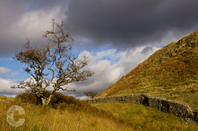 In the lake district