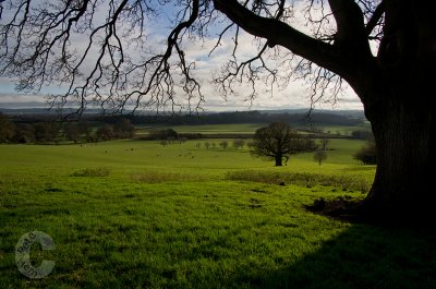 Farmland near Killerton