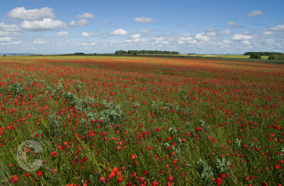 Somewhere near Stonehenge