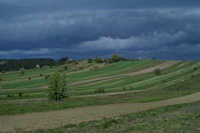 Roztocze 5