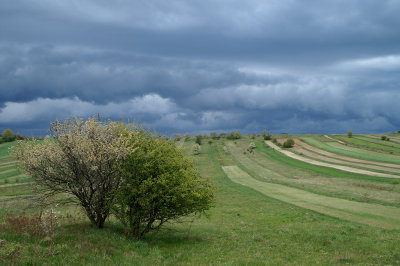 Roztocze 4