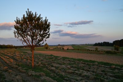 Roztocze 2
