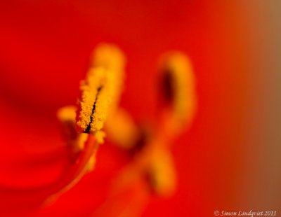 DSC_7708.jpg