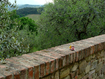 An Easter bunny visits the olive grove