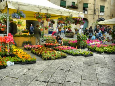 Flower Festival, Lucca 
