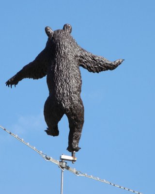 The amazing dancing bear 
