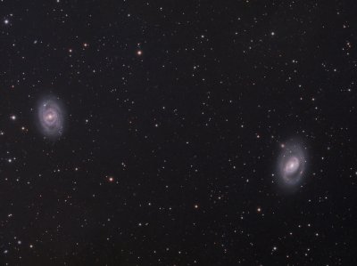 Galaxy Duo and a Supernova: M95 and M96