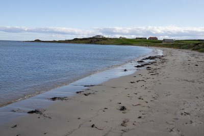 Balcomie Bay