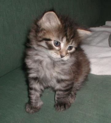girl3_5weeks9.jpg
