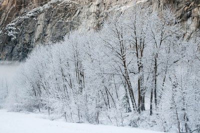 Yosemite Fall 2011