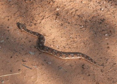 DSC_2403.jpg