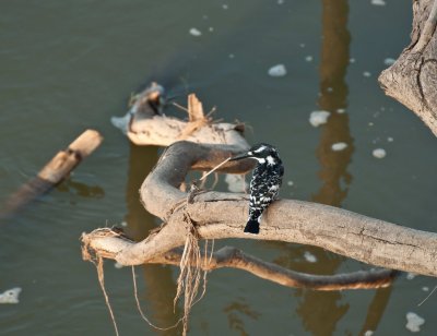 DSC_0998.jpg