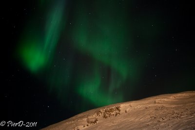 Saluit-IMG_2463.jpg