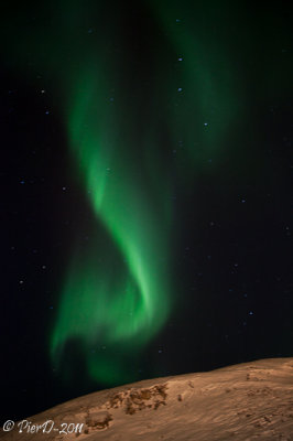 Saluit-IMG_2468.jpg