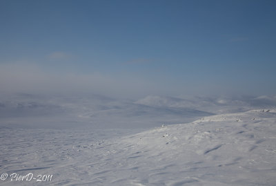 Saluit-IMG_2503.jpg