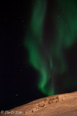 Saluit-IMG_2474.jpg