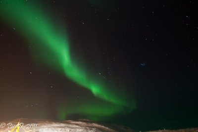 Saluit-IMG_2481.jpg