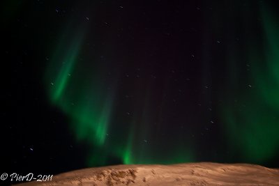 Saluit-IMG_2487.jpg