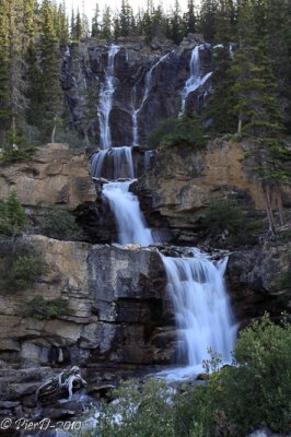 vers-revelstoke-_MG_2657.jpg