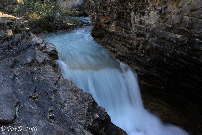 Jasper-1-_MG_2449-3.jpg
