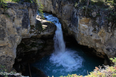 Jasper-1-_MG_2501.jpg