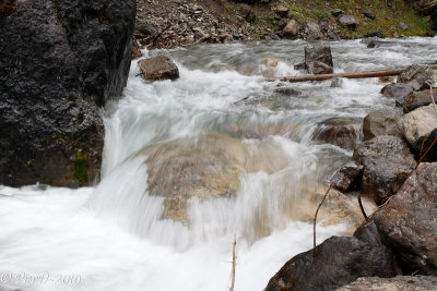 Jasper-_MG_2049.jpg