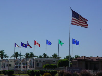 Flags in Mesa Arizona