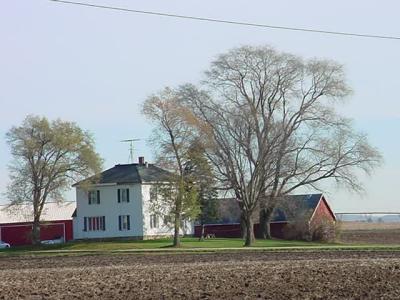 nice tree and house *