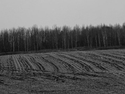 Furrowed Field in Winter Slumber