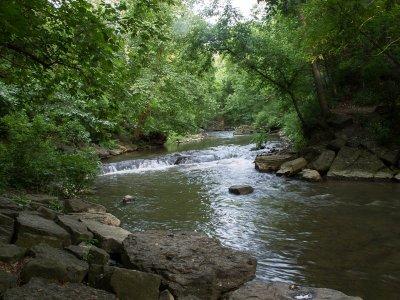 Linear Park-7.jpg