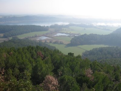 Vista des del Puig Clar
