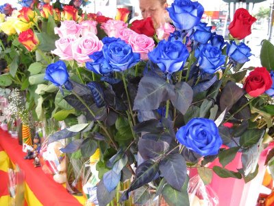 Diada de Sant Jordi