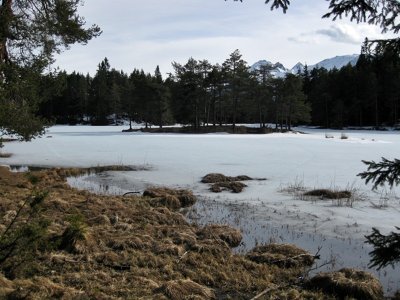 Moserer See