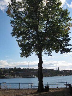 View from Riddarholmen