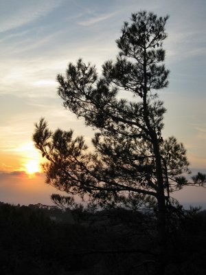 Falset (El Priorat)