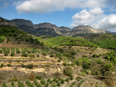 Serra de Montsant