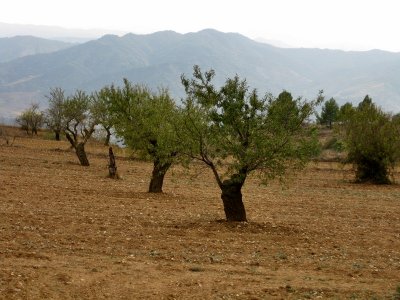 La Morera de Montsant