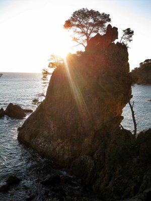 Cam de Ronda de Calella de Palafrugell a Palams