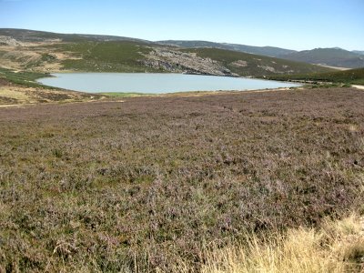 Parque Natural del Lago de Sanabria. Laguna de los Peces