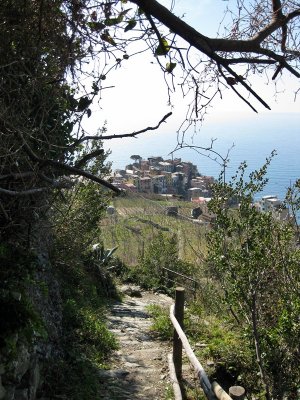 Parco Nazionale delle Cinque Terre.  Camino hacia Corniglia