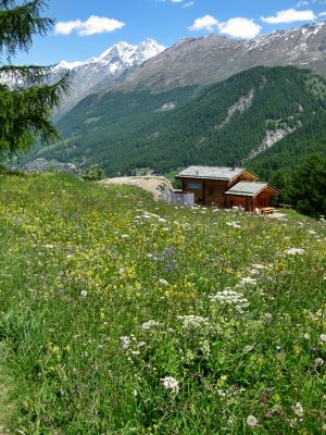 Zermatt. View from the Trail from Furi